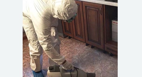 Уничтожение тараканов в квартире. Бирюлёво Западное